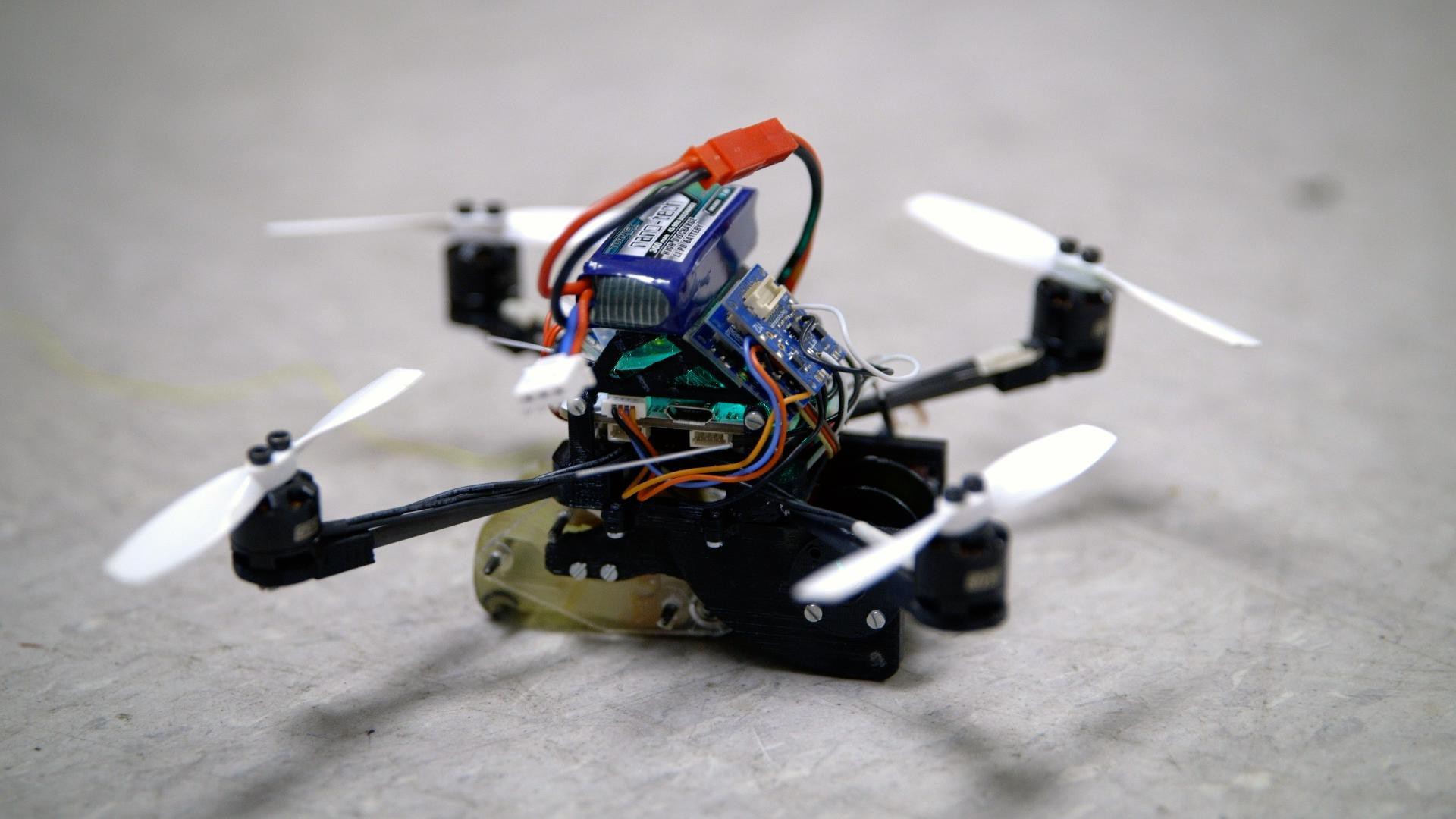Imagem de: Cientistas criam drone poderoso e quase indestrutível inspirados por vespas